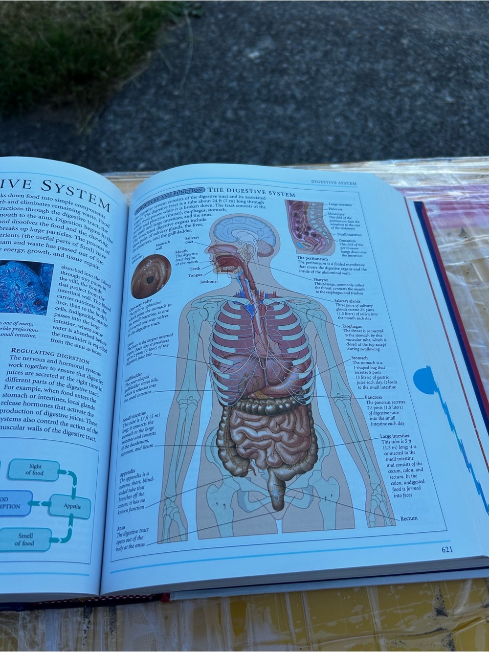 Complete Home Medical Guide - Navy - Picture 11 of 14